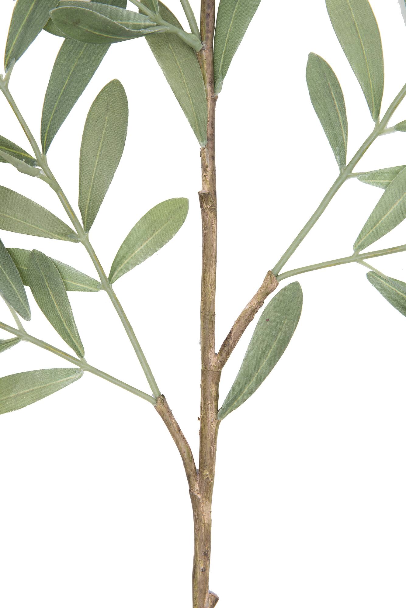 Hello Honey® 36" Faux Olive Branch